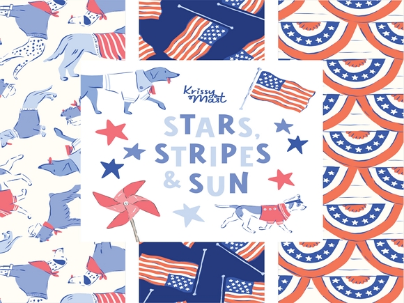 Stars Stripes and Sun